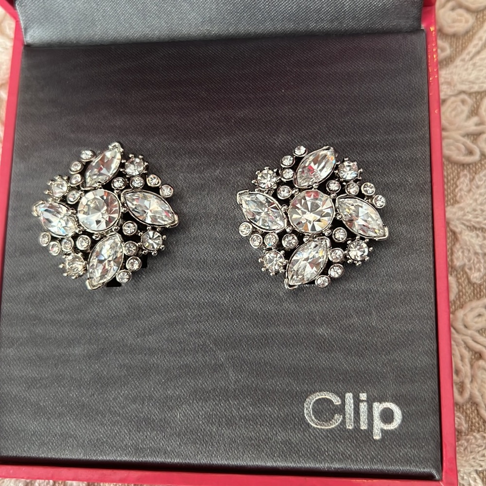 Lucy & Laurel Fashion Crystal Earrings